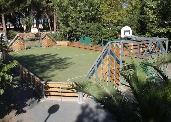 4 Etoiles - Piscine - Ccb0e00 キャンプ場 アルジェレス・シュル・メール